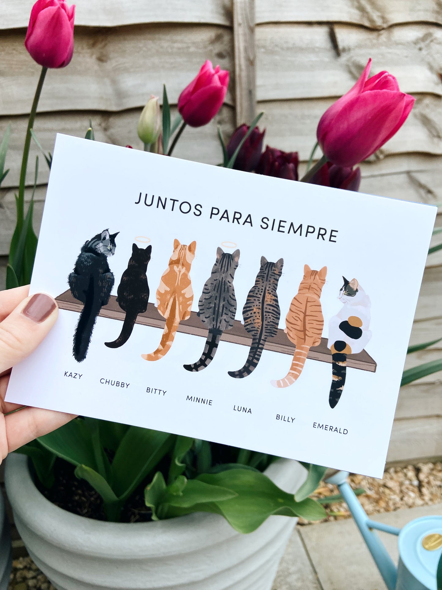 Personalised Cats on a Shelf Print (unframed)