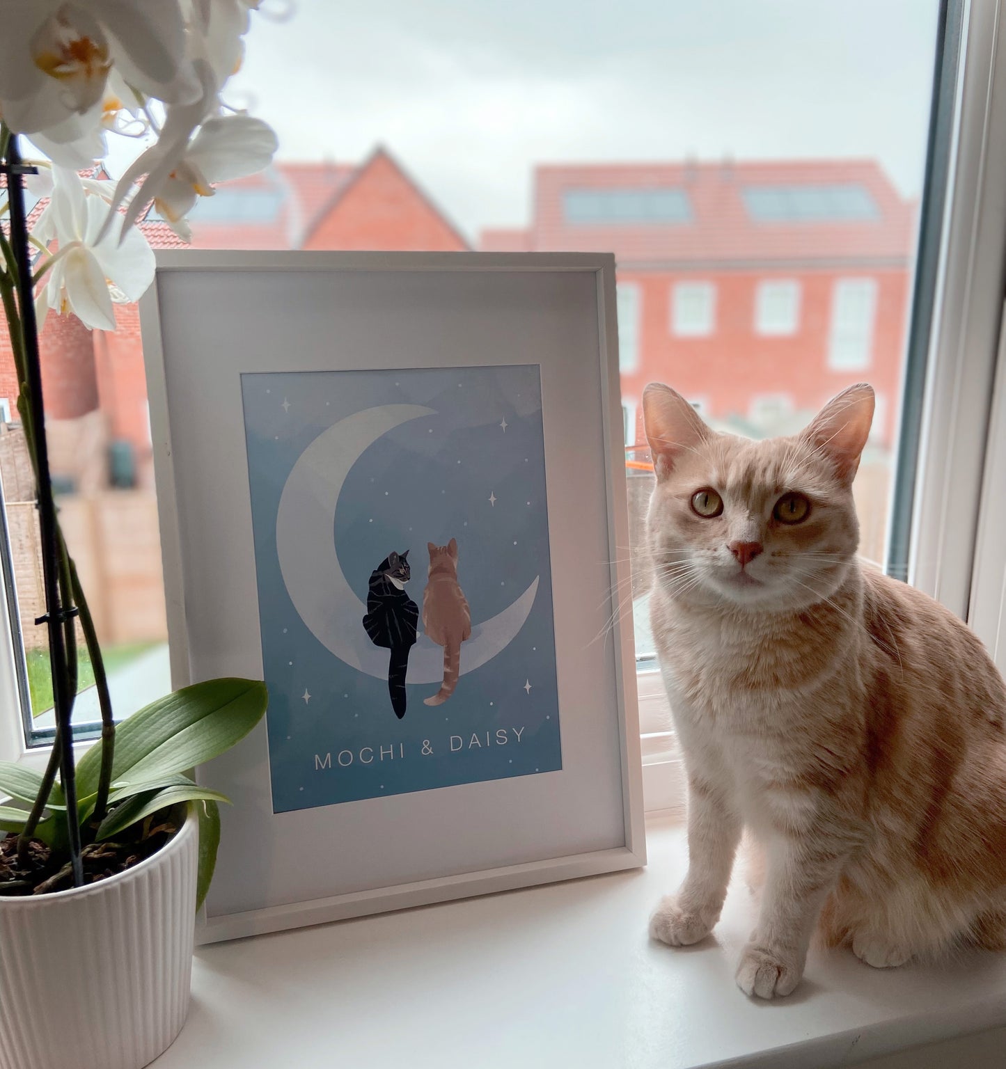 Personalised Cats Sitting on the Moon Print (unframed)