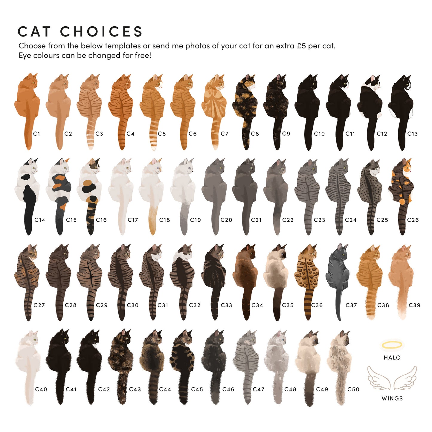 Personalised Graduation Cat Print (unframed)