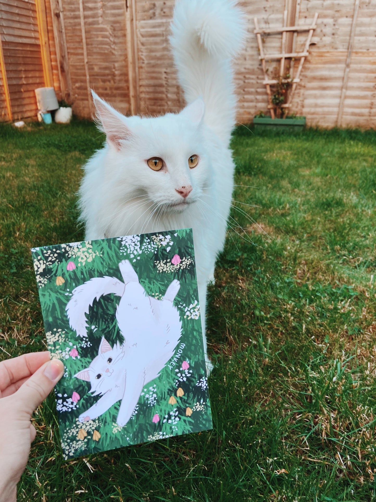 Personalised Cat and Wildflowers Wall Art Print (unframed)