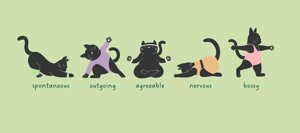 Unveiling the 5 Cat Personalities: Which One Rules Your Home ...