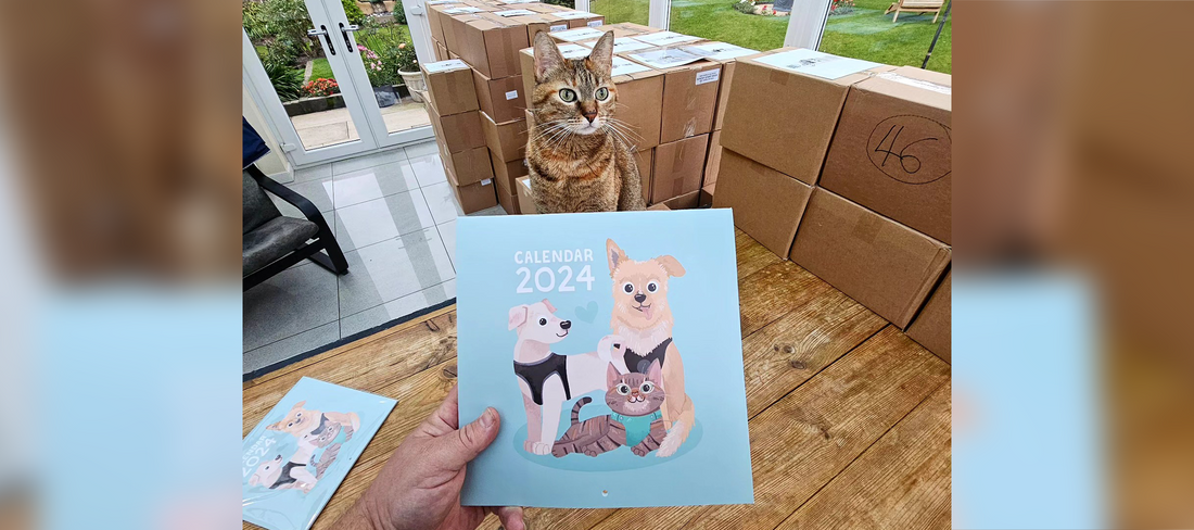 Illustrating the @1bike1world 2024 charity calendar!
