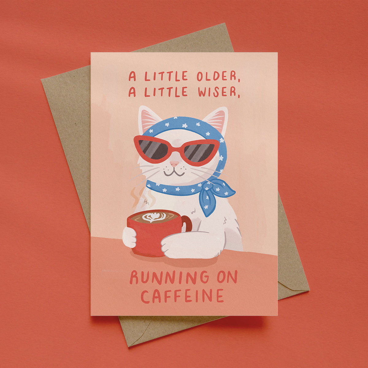 A Little Older A Little Wiser Cat Birthday Card