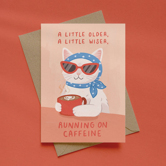 A Little Older A Little Wiser Cat Birthday Card