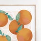 Valencia Oranges Art Print (unframed)