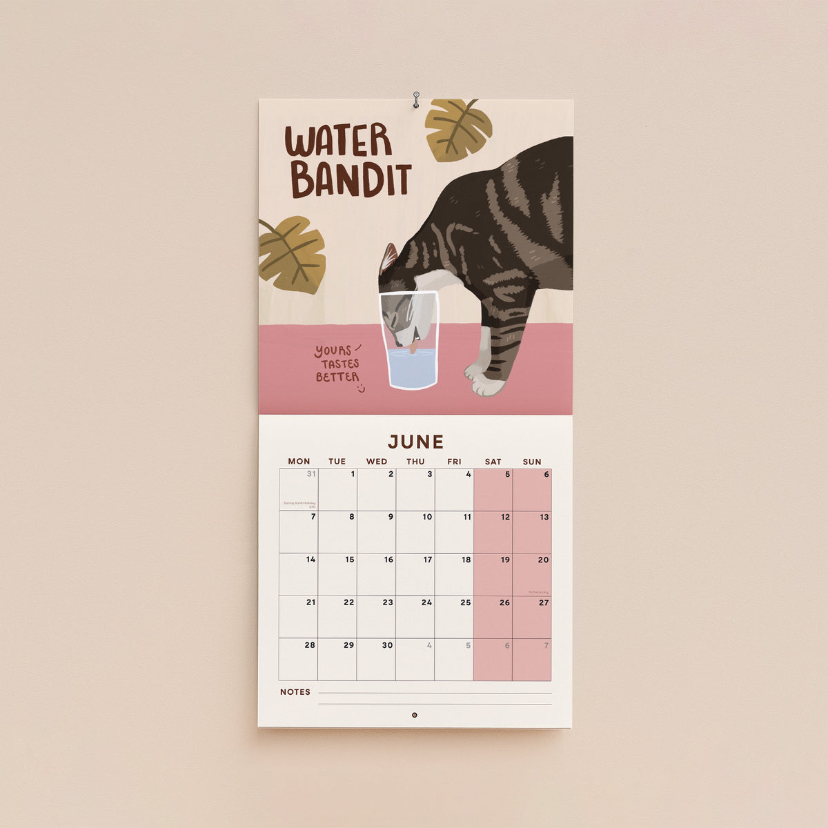June page of cat-themed 2027 wall calendar with “Water Bandit” title and dates