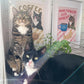 Coffee cat print set with tabby and black-and-white cat portraits on framed art