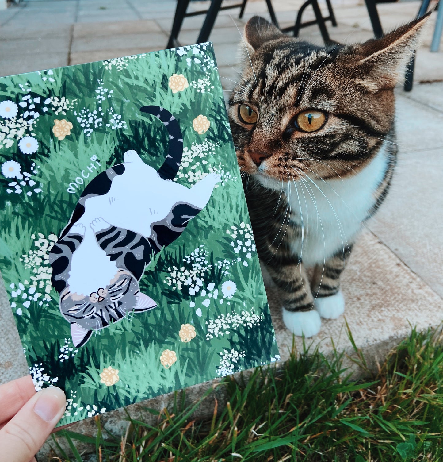 Personalised Cat and Wildflowers Wall Art Print (unframed)