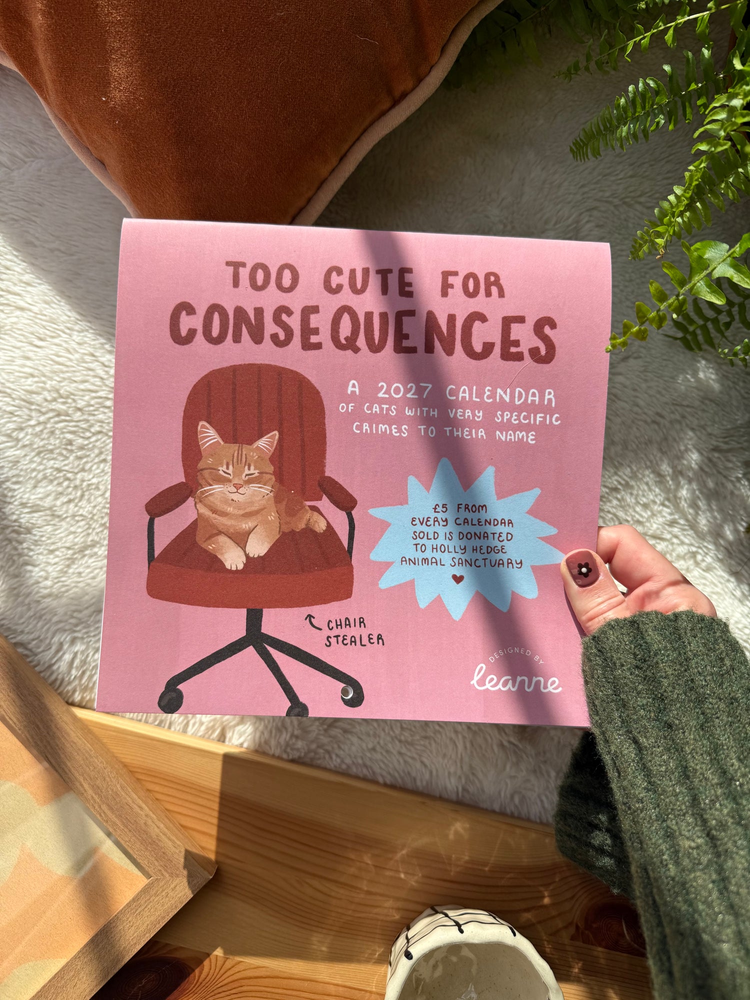 2027 illustrated cat wall calendar with “Too Cute for Consequences” cover and cat figure
