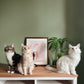 Personalised Cat Print