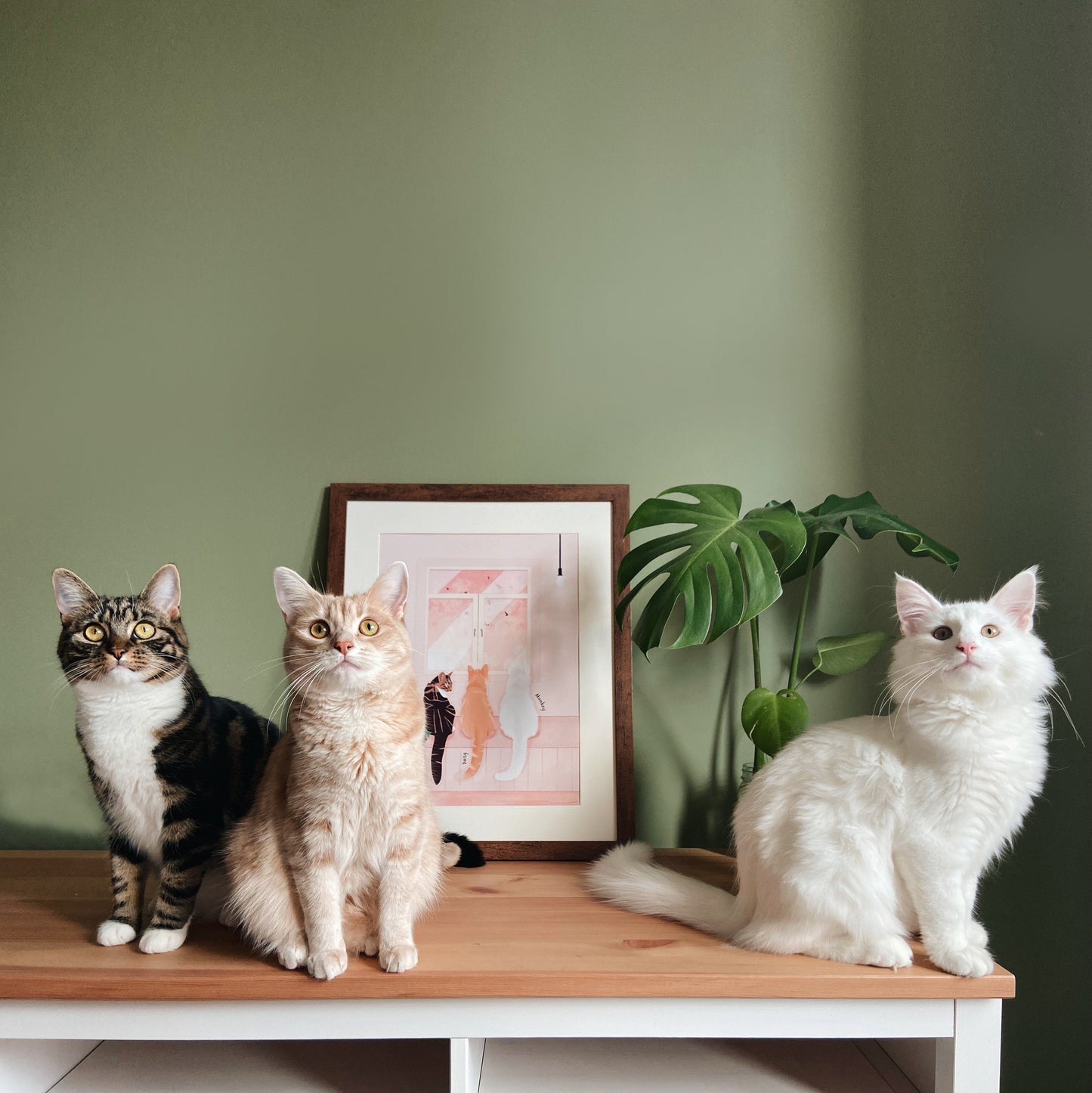 Personalised Cat Print